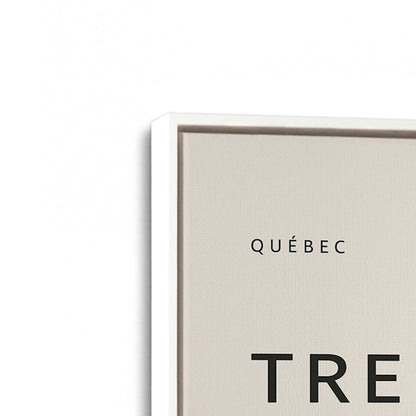 [Color:Opaque White], Picture of art in a White frame at an angle
