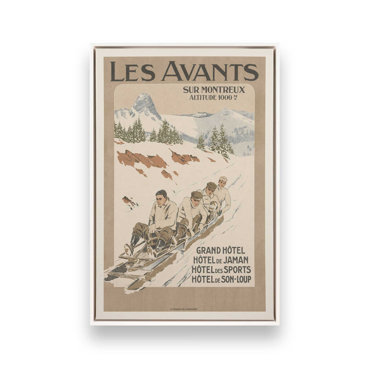 [Color:Opaque White], Picture of art in a White frame