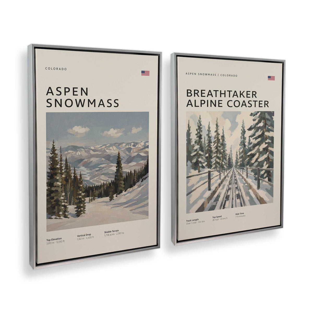 [Color:Polished Chrome], Picture of art in a Polished Chrome frame at an angle