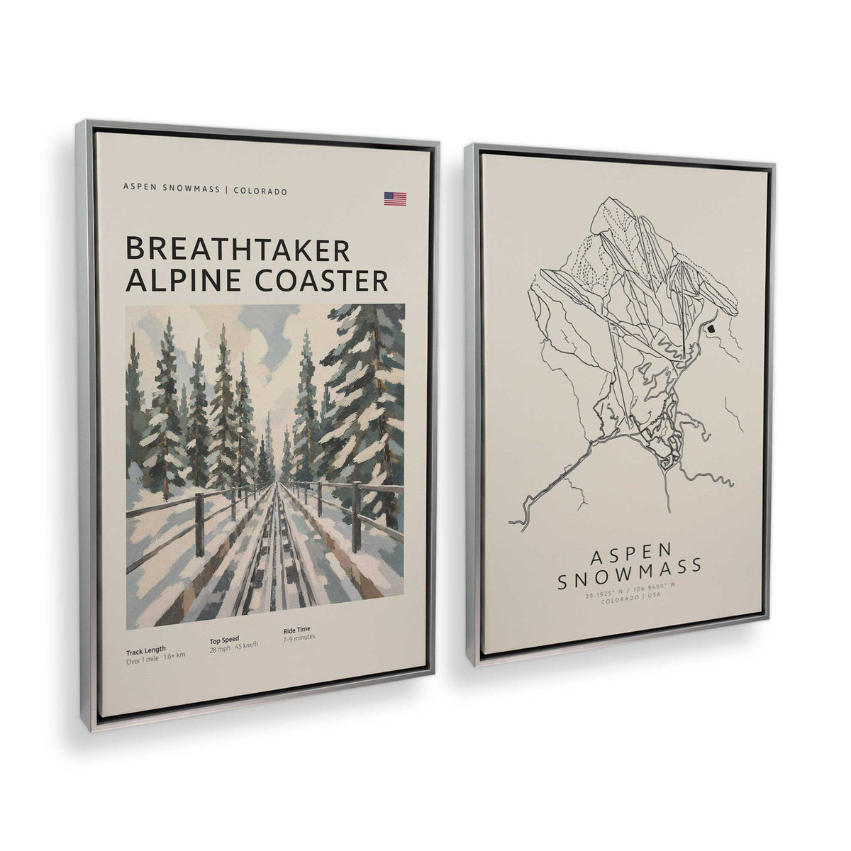 [Color:Polished Chrome], Picture of art in a Polished Chrome frame at an angle