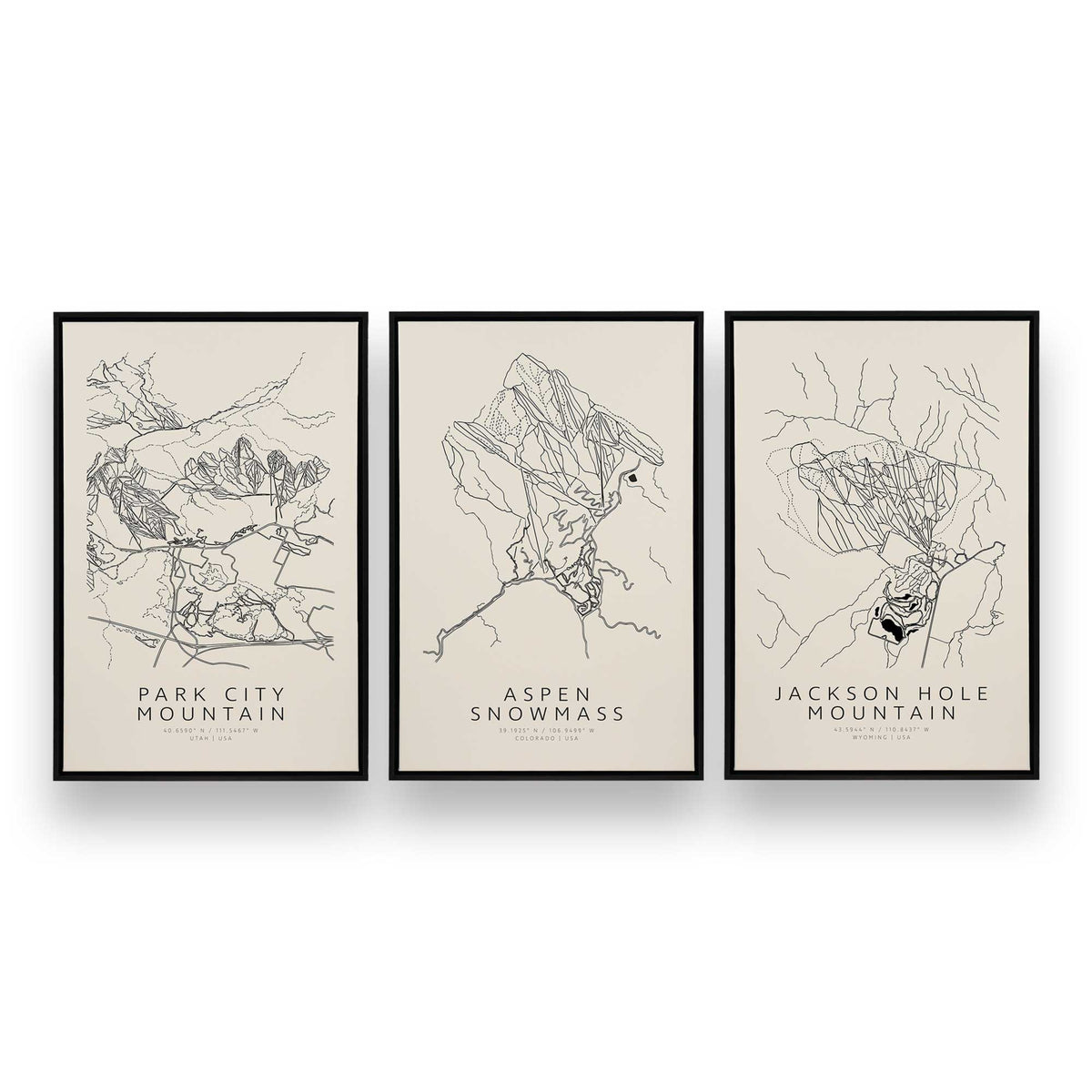 [SPECIAL],[Color:Satin Black],