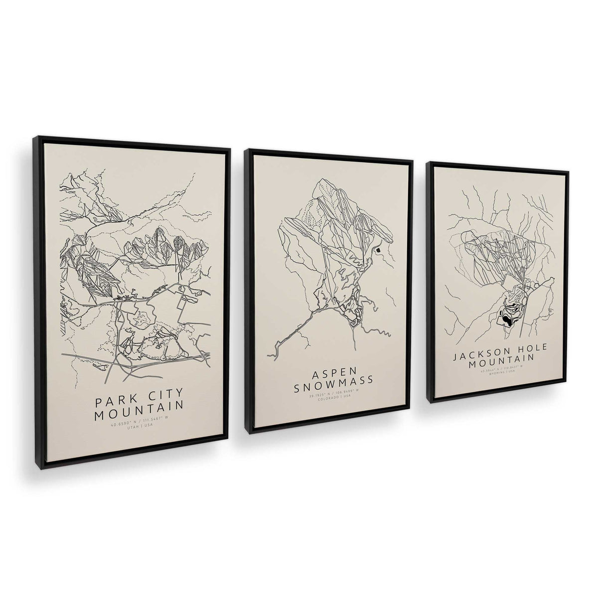 [Color:Satin Black], Picture of art in a Satin Black frame at an angle