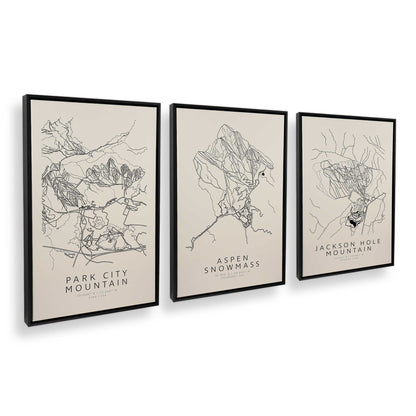 [Color:Satin Black], Picture of art in a Satin Black frame at an angle