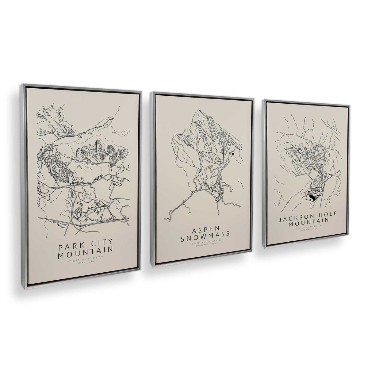 [Color:Polished Chrome], Picture of art in a Polished Chrome frame at an angle