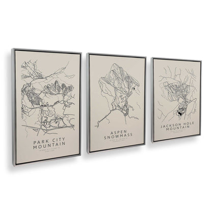 [Color:Polished Chrome], Picture of art in a Polished Chrome frame at an angle