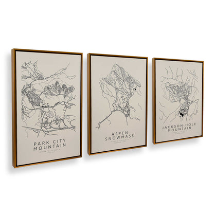 [Color:Polished Gold], Picture of art in a Polished Gold frame at an angle