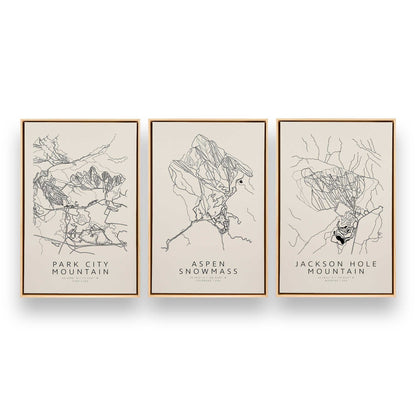[Color:American Maple], Picture of art in an American Maple frame