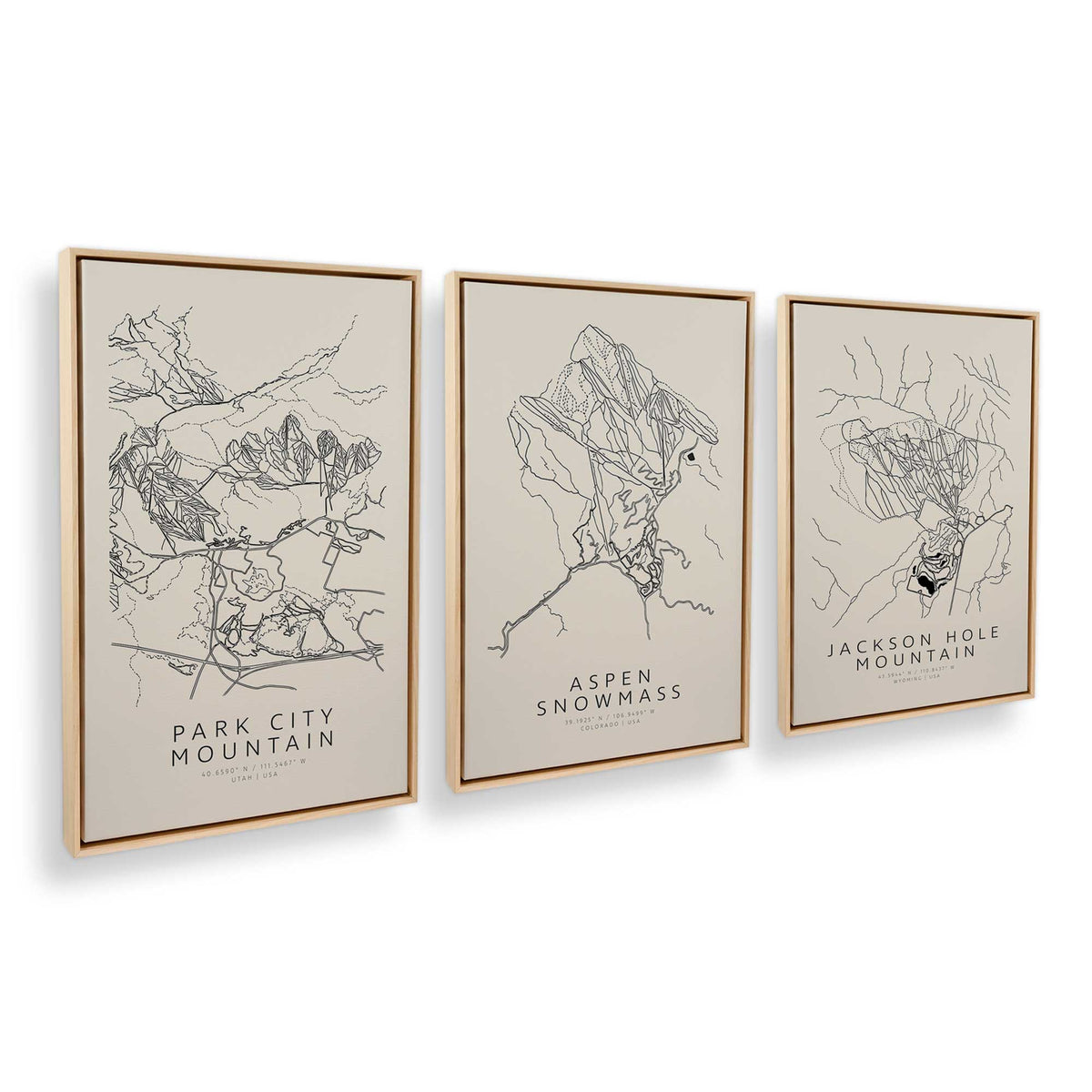 [Color:American Maple], Picture of art in an American Maple frame at an angle