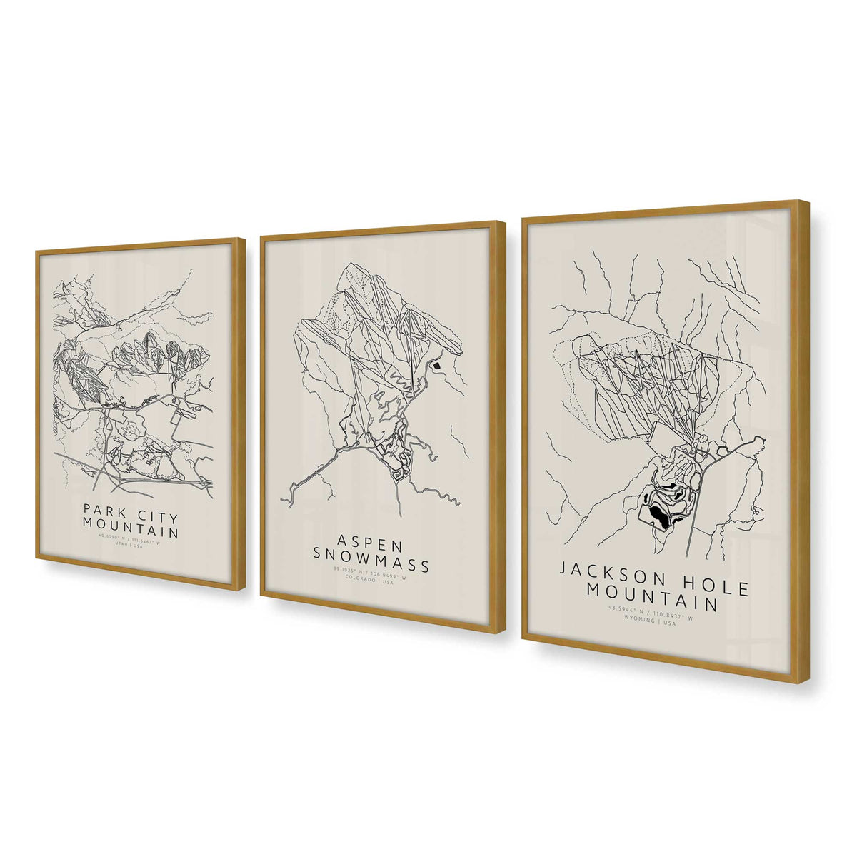 [Color:Polished Gold], Picture of art in a Polished Gold frame at an angle