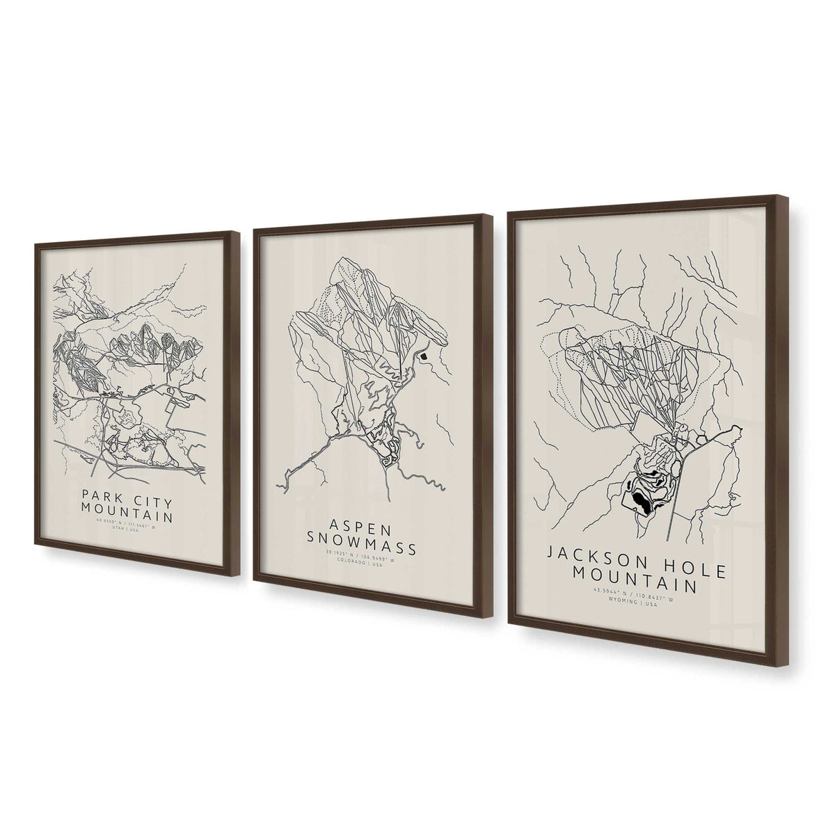 [Color:Belvinder Brown], Picture of art in a Belvinder Brown frame at an angle