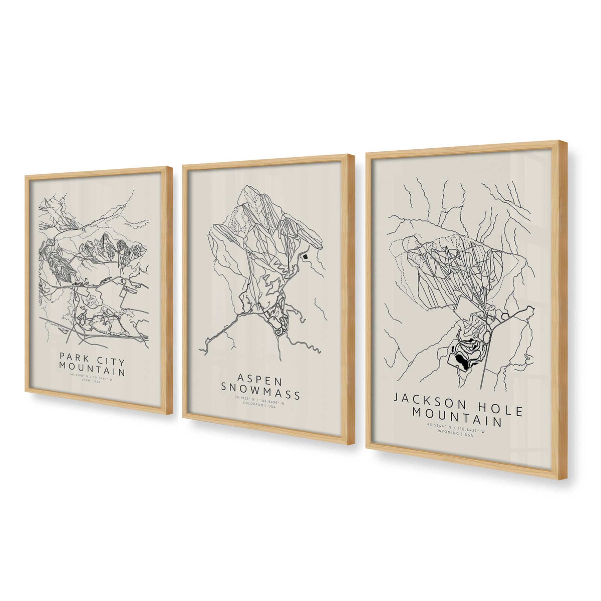 [Color:American Maple], Picture of art in an American Maple frame at an angle