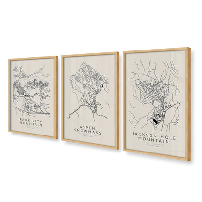 [Color:American Maple], Picture of art in an American Maple frame at an angle