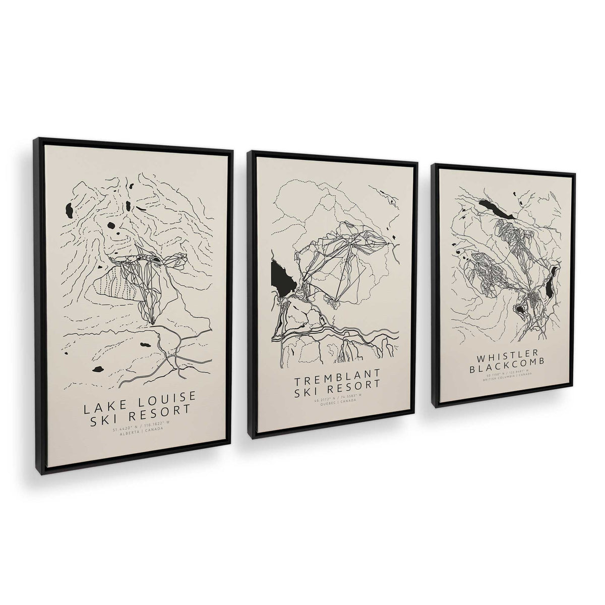 [Color:Satin Black], Picture of art in a Satin Black frame at an angle