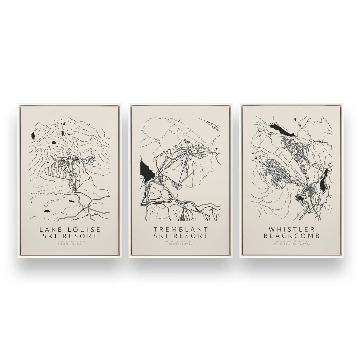 [Color:Opaque White], Picture of art in a White frame