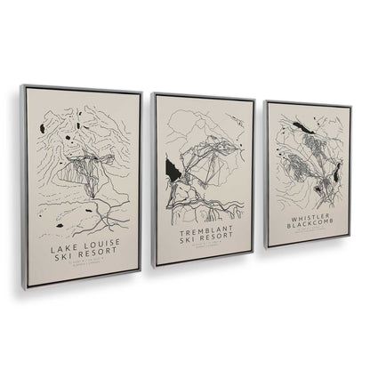 [Color:Polished Chrome], Picture of art in a Polished Chrome frame at an angle