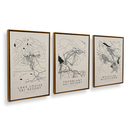 [Color:Polished Gold], Picture of art in a Polished Gold frame at an angle