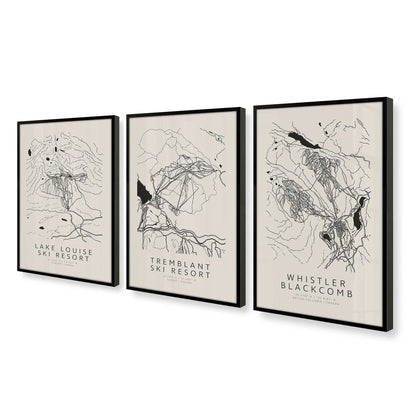 [Color:Satin Black], Picture of art in a Satin Black frame at an angle