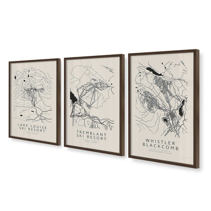 [Color:Belvinder Brown], Picture of art in a Belvinder Brown frame at an angle