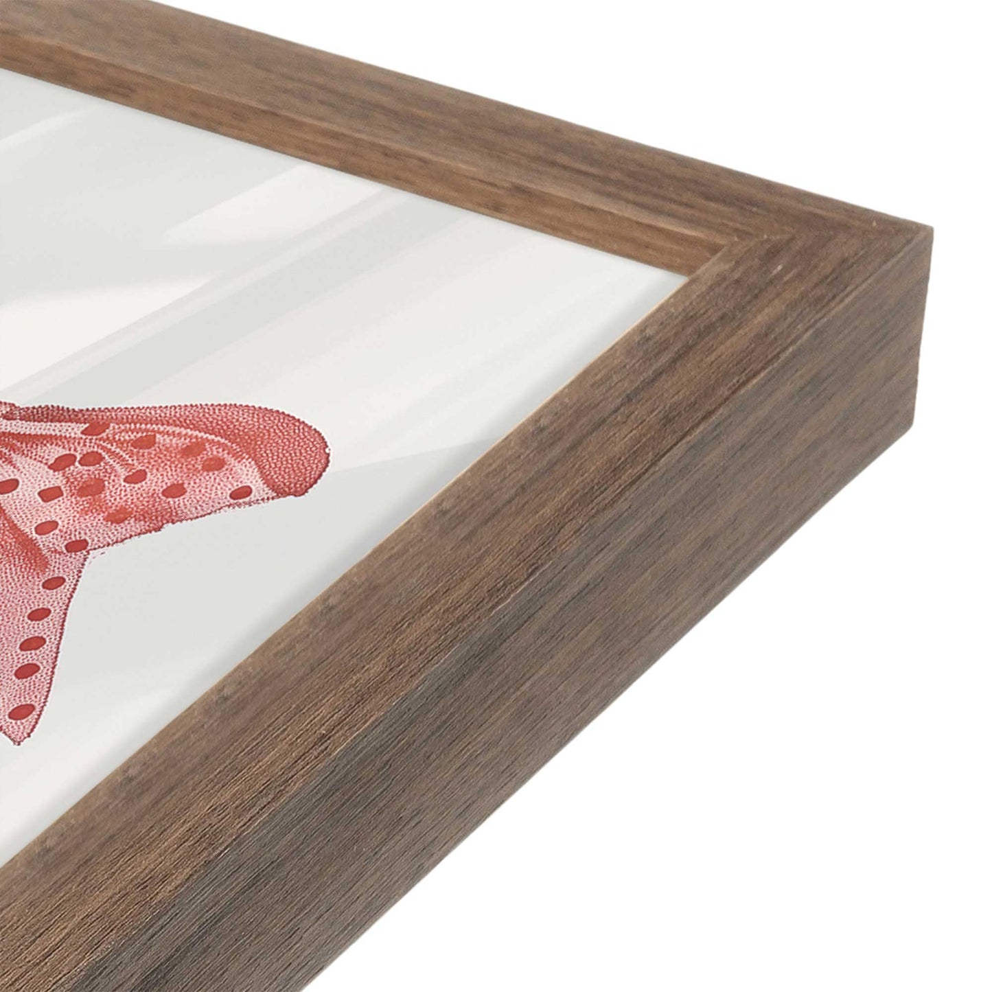 [Color:Walnut], Picture of art in a Walnut frame of the corner