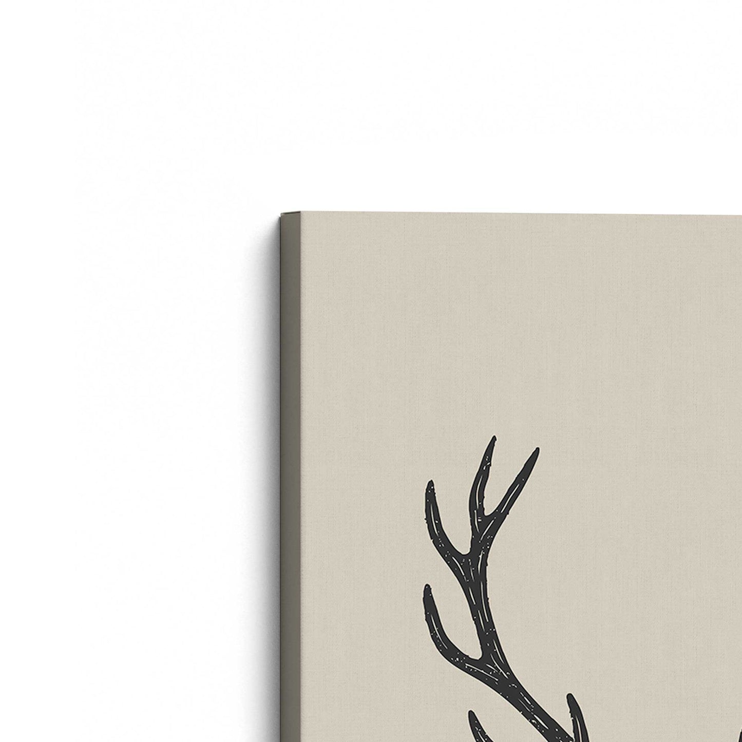 [Color:Stretched Canvas], Picture of the corner of the art