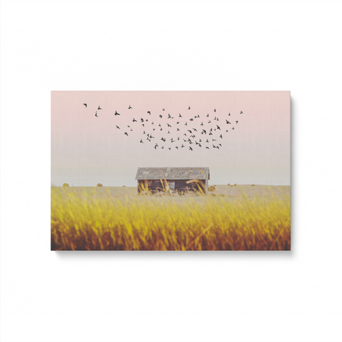 Harvest Season on Canvas of barn in a wheat field with birds flying overhead