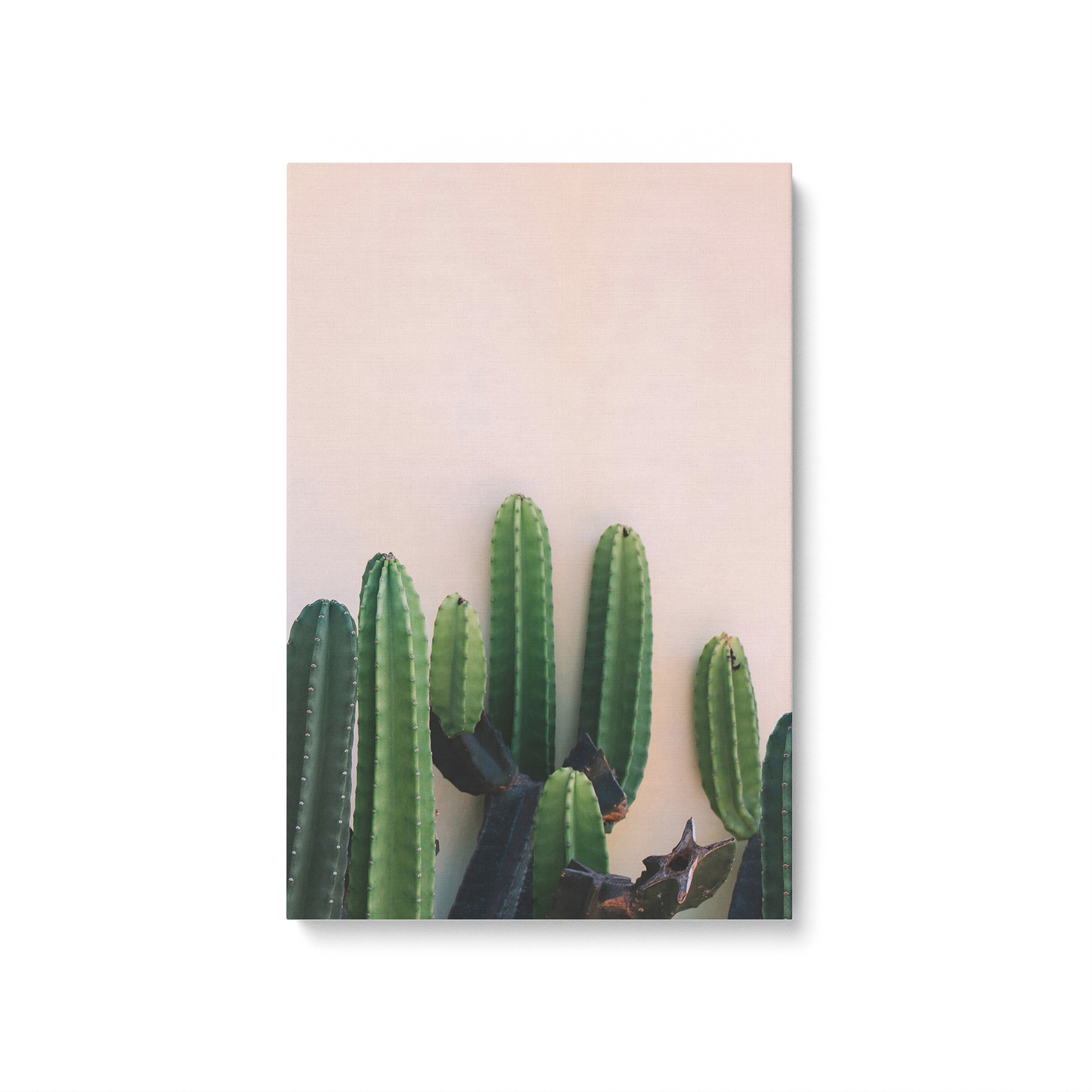 [color:Stretched Canvas], Picture of art in a black frame