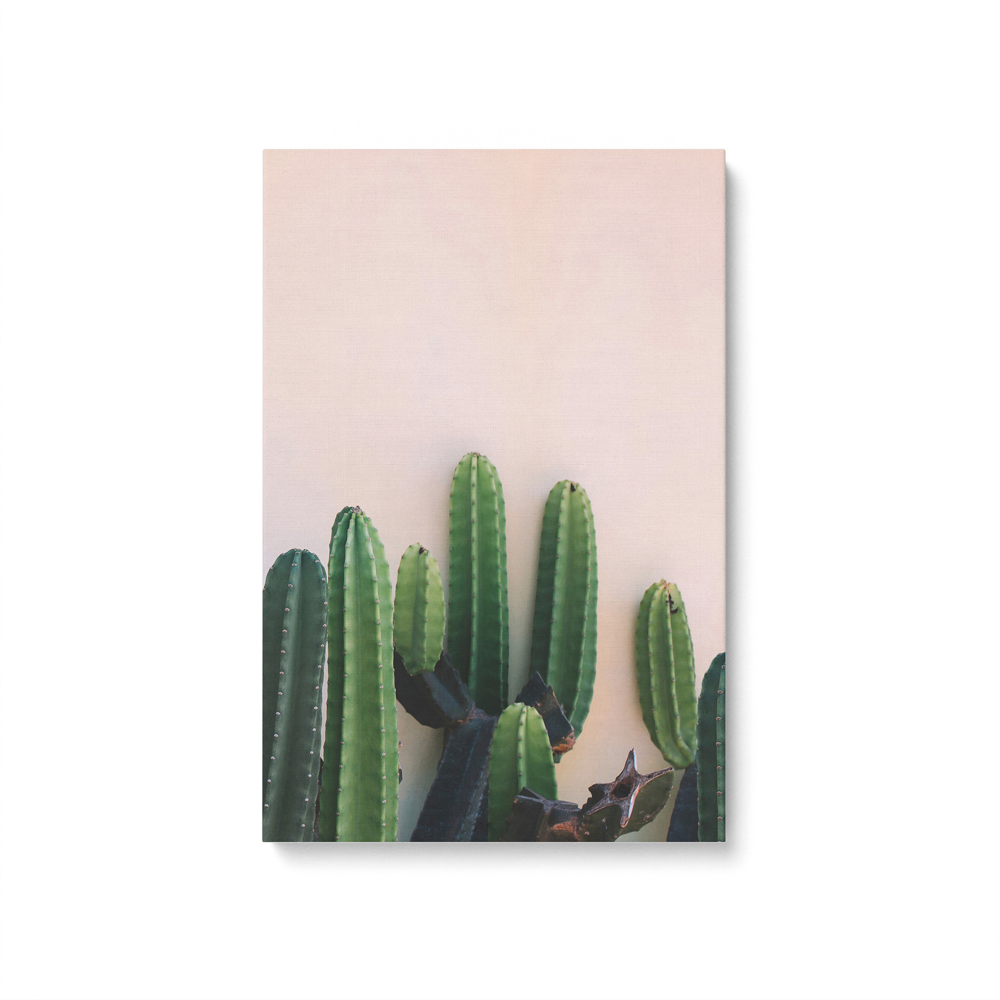 [color:Stretched Canvas], Picture of art in a black frame