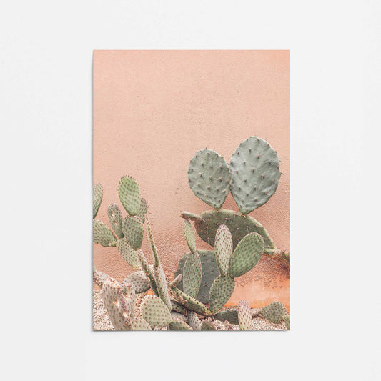 Desert Flora Promotional Rolled Print