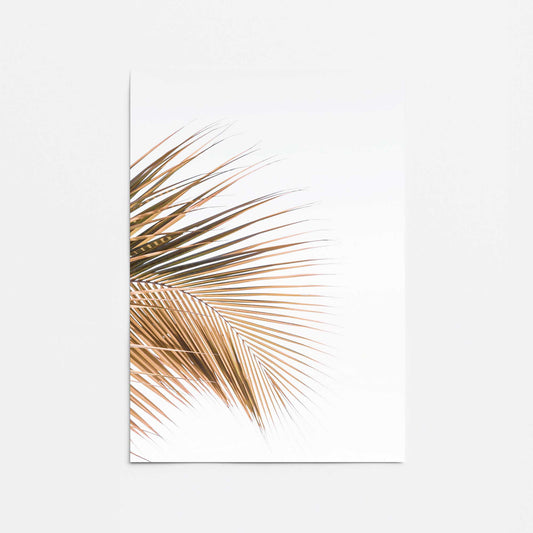 Palm Harmony Promotional Rolled Print