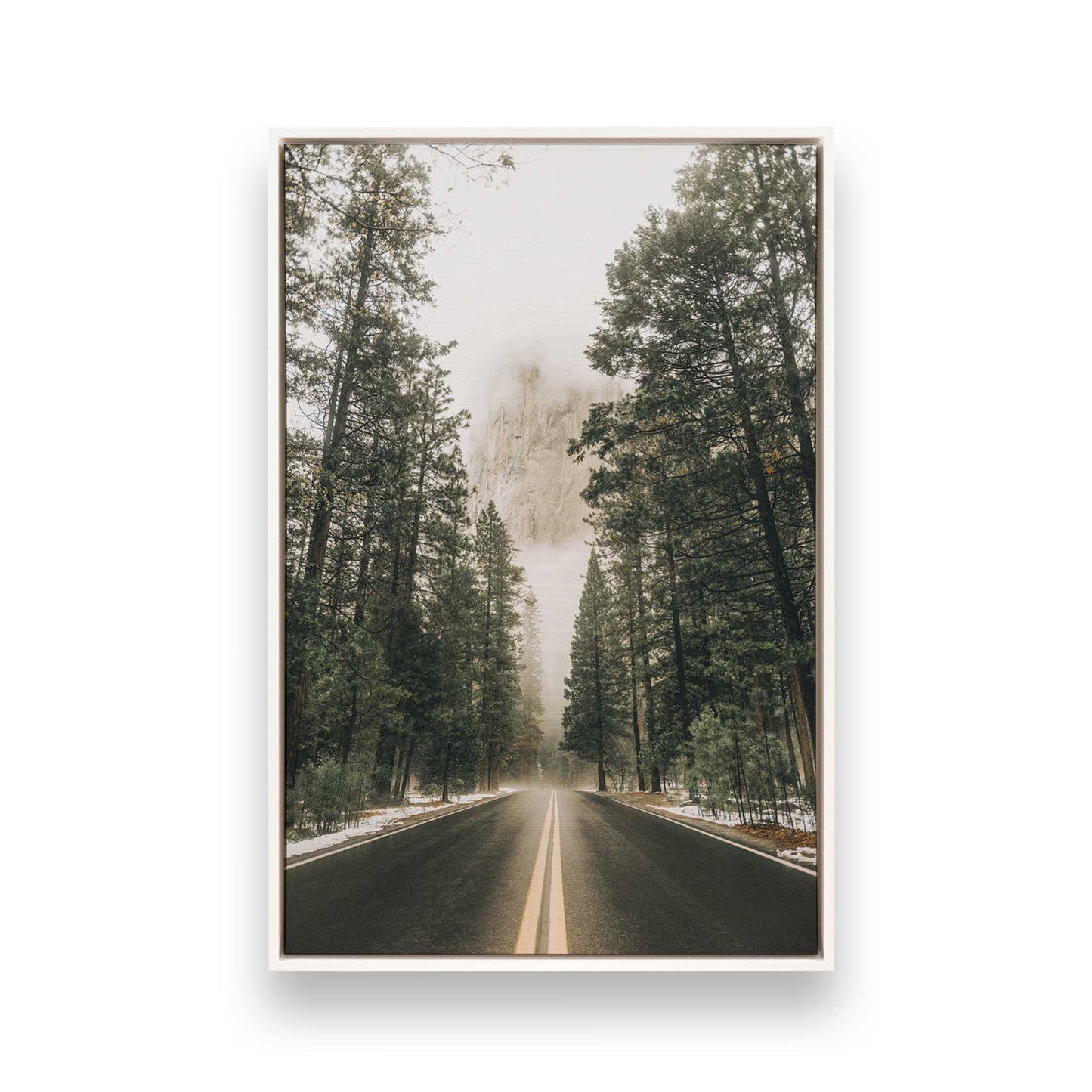 [Color:Opaque White] Picture of art in a White frame