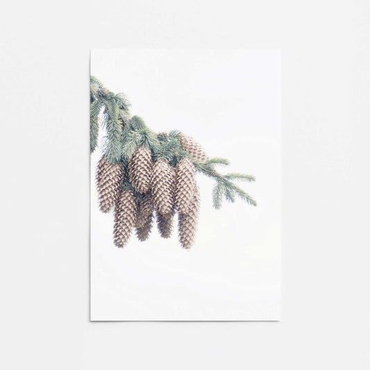 Forest Treasures Promotional Rolled Print