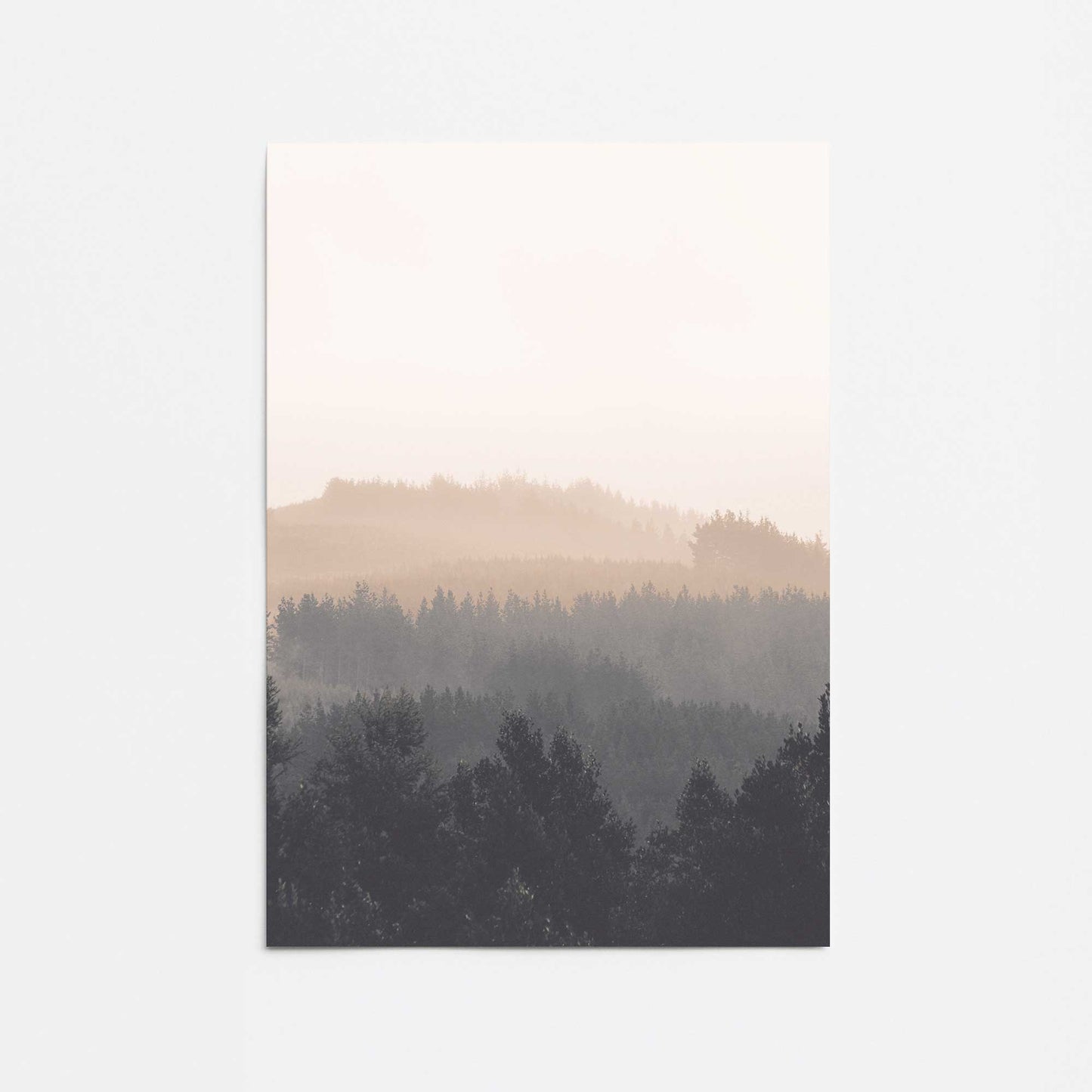 Forest Veil Promotional Rolled Print