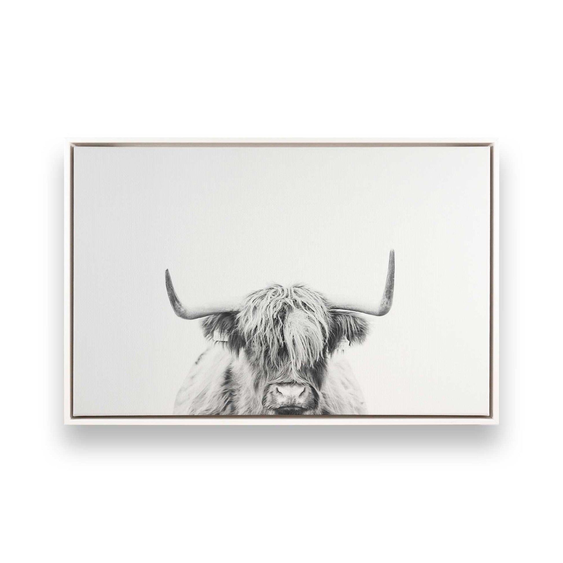 [Color:Opaque White] Picture of art in a White frame