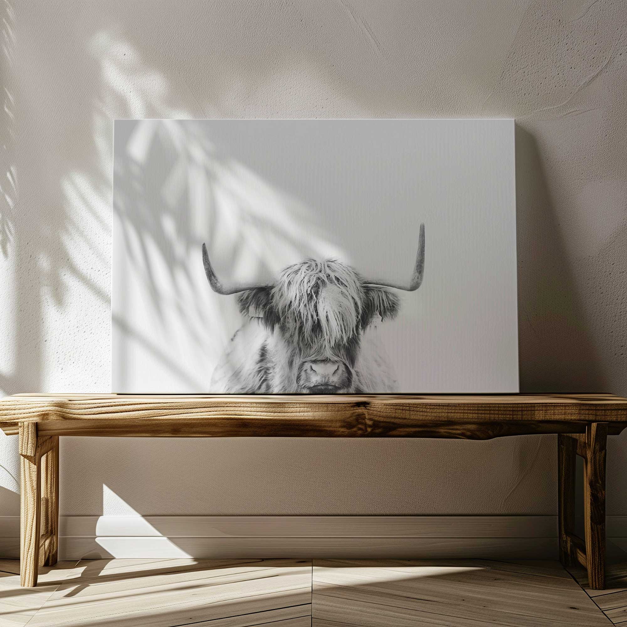highland pride canvas print of a black and white photo of a highland cow leaning on a  bench