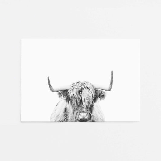 Highland Pride Promotional Rolled Print
