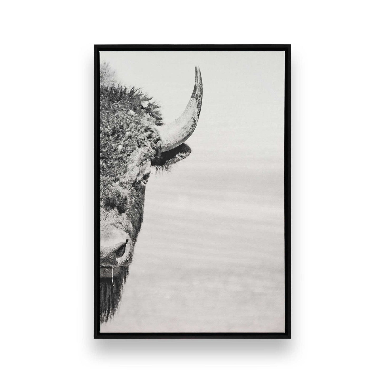 [Color:Satin Black],[SPECIAL], Front image of the art