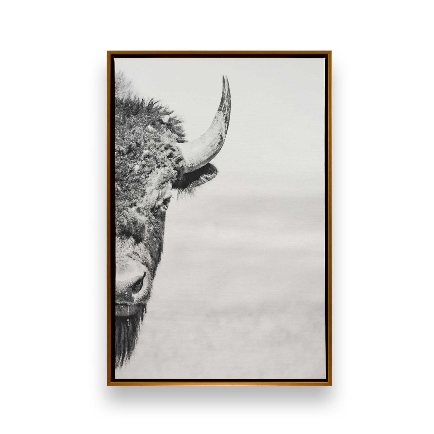 [Color:Polished Gold] Picture of art in a Polished Gold frame