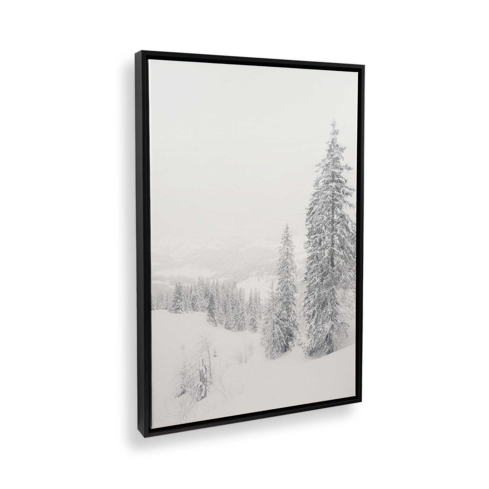 [Color:Satin Black] Picture of art in a Satin Black frame at an angle