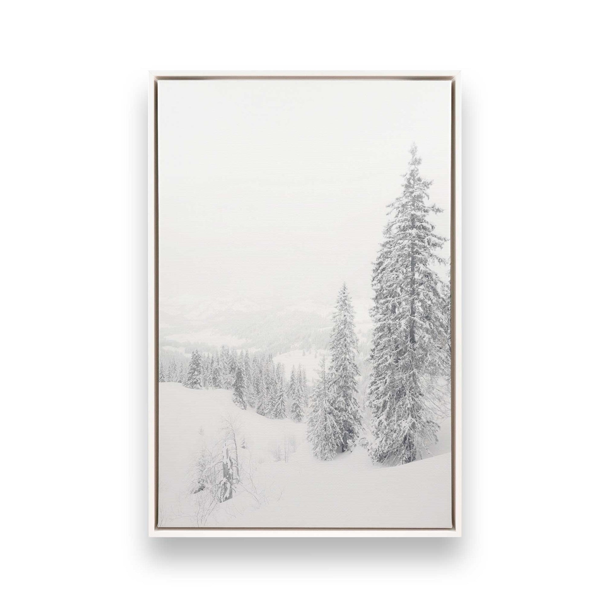 [Color:Opaque White] Picture of art in a White frame