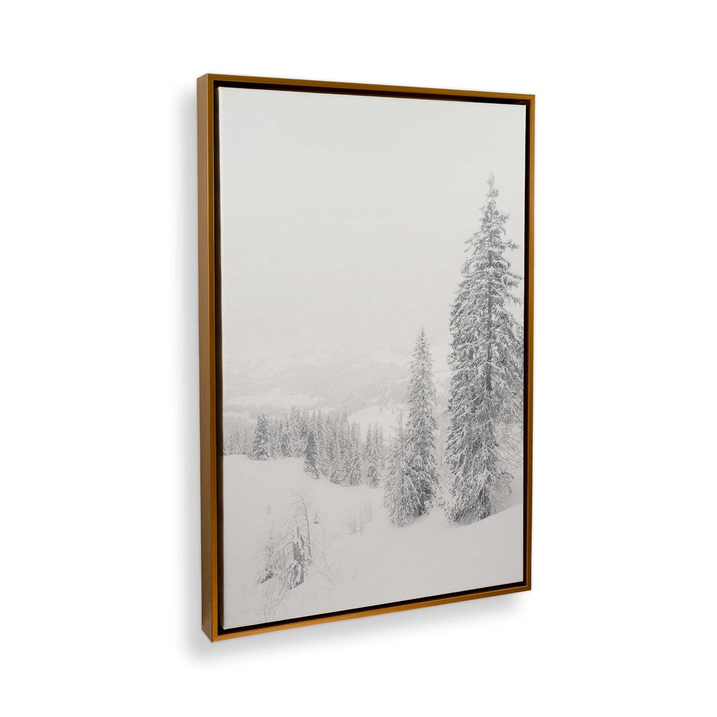 [Color:Polished Gold] Picture of art in a Polished Gold frame at an angle