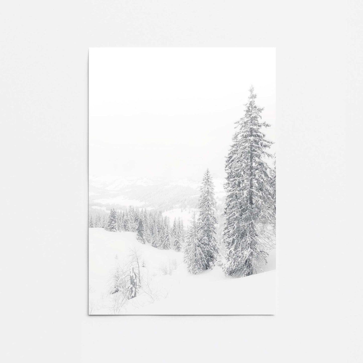 Winter's Embrace Promotional Rolled Print