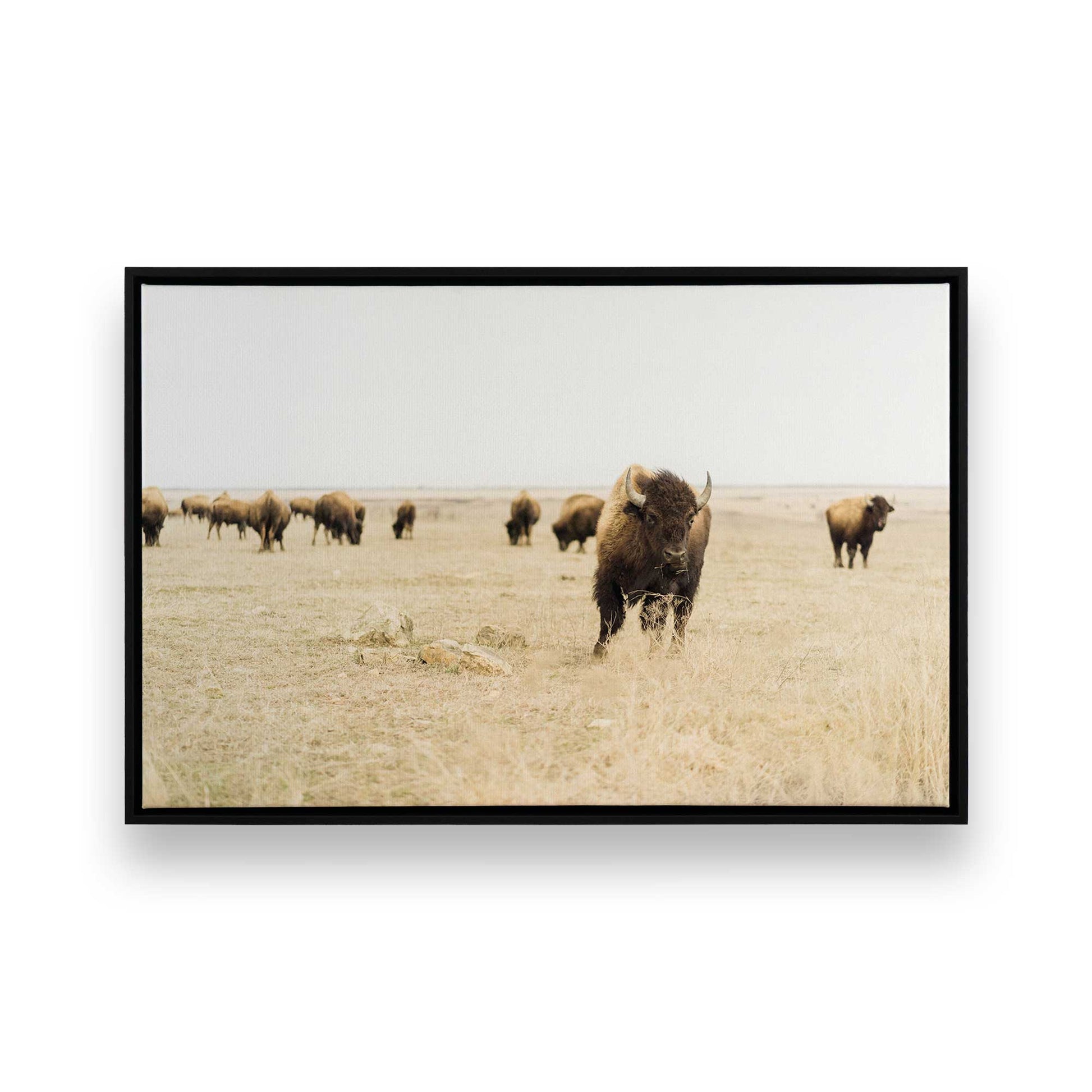 [Color:Satin Black],[SPECIAL], Front image of the art