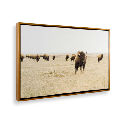 [Color:Polished Gold] Picture of art in a Polished Gold frame at an angle