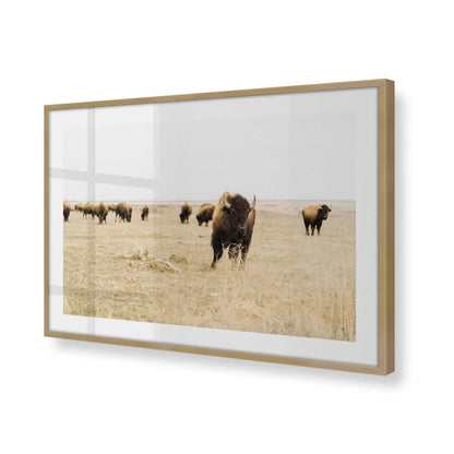 [Color:Brushed Gold] Picture of art in a Brushed Gold frame at an angle