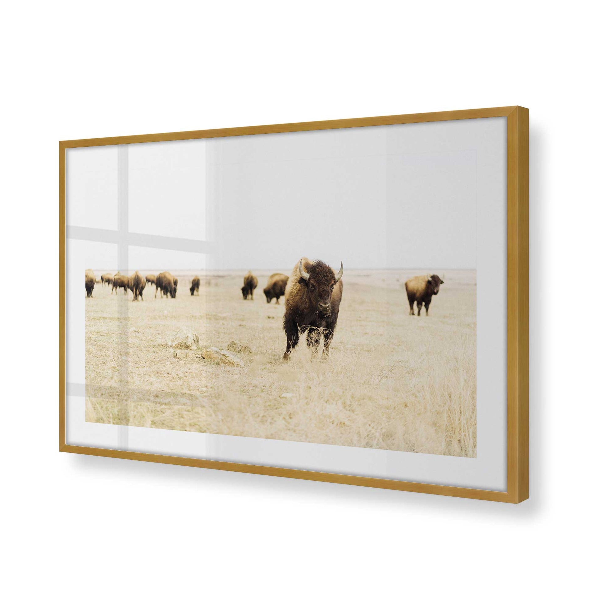 [Color:Polished Gold] Picture of art in a Polished Gold frame at an angle