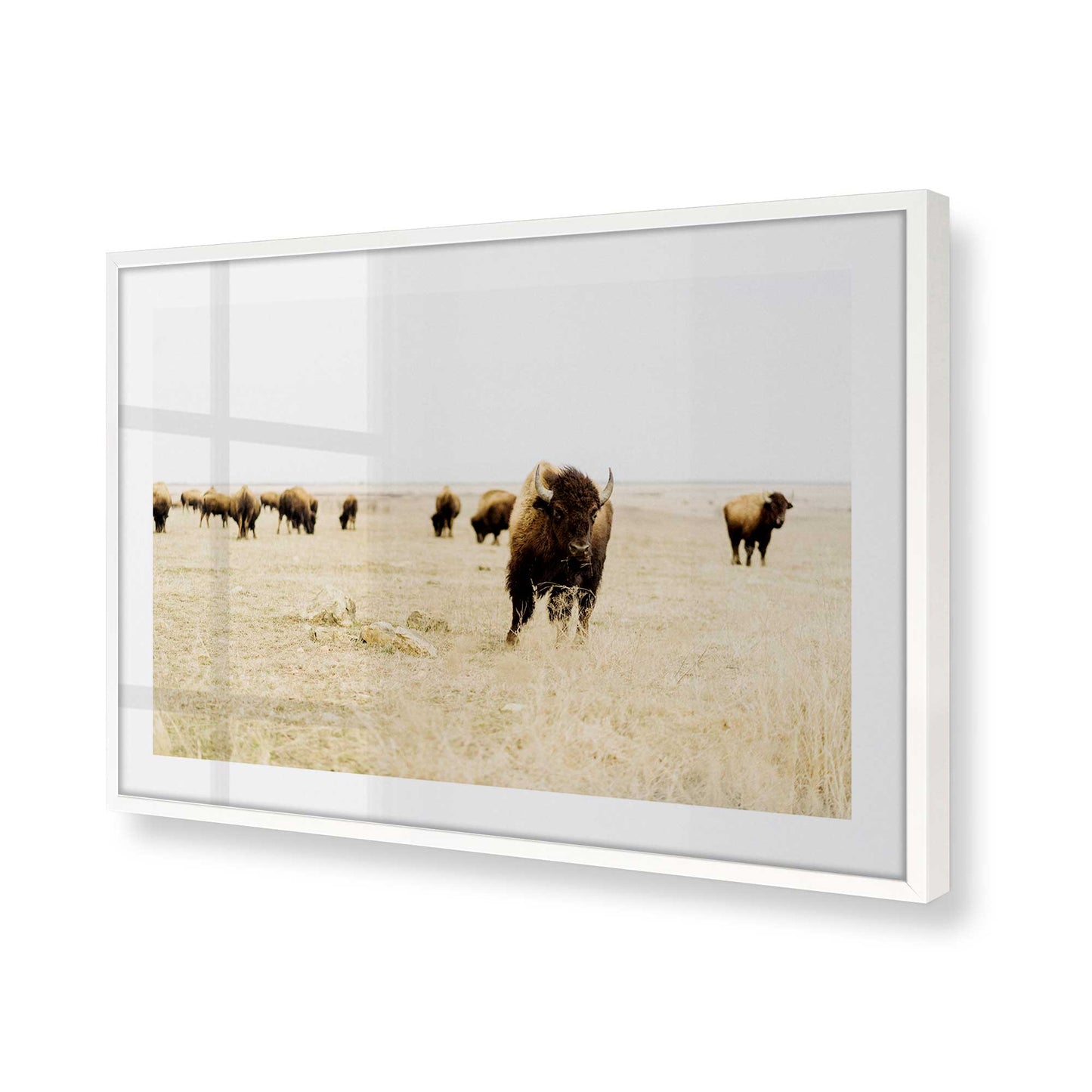 [Color:Opaque White] Picture of art in a Opaque White frame at an angle