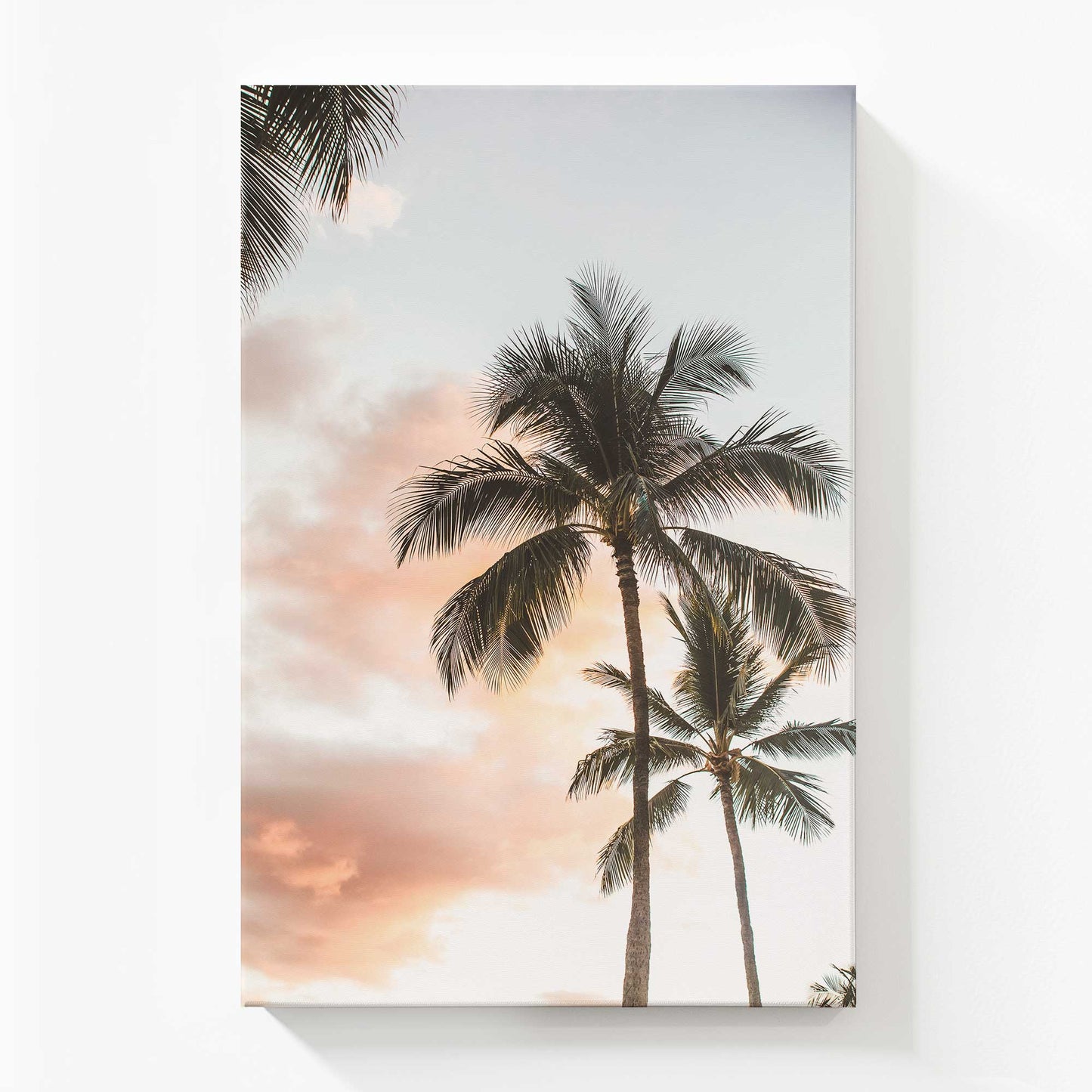 [Color:Stretched Canvas], Picture of art