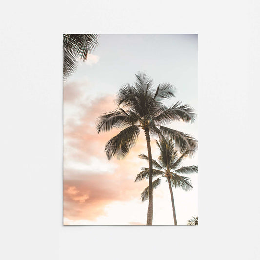 Tropical Twilight Promotional Rolled Print