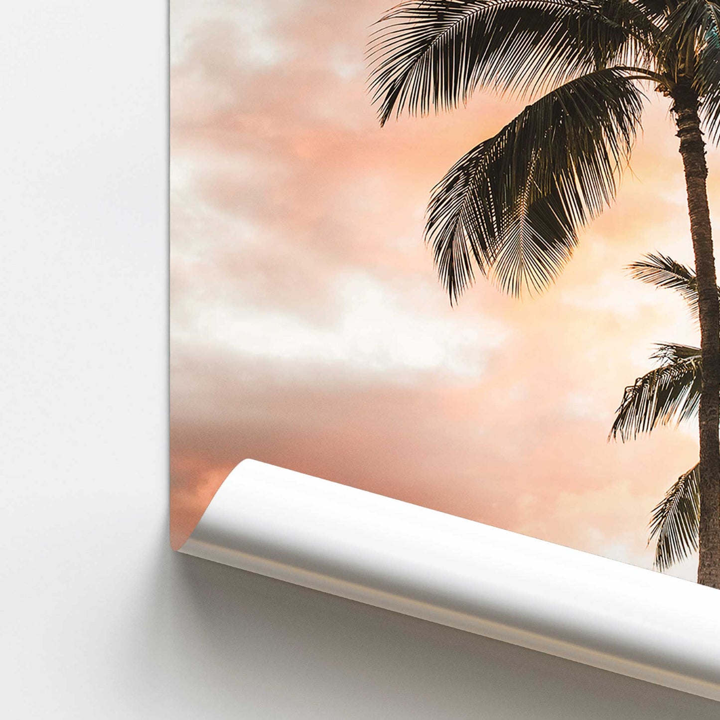 Tropical Twilight Promotional Rolled Print