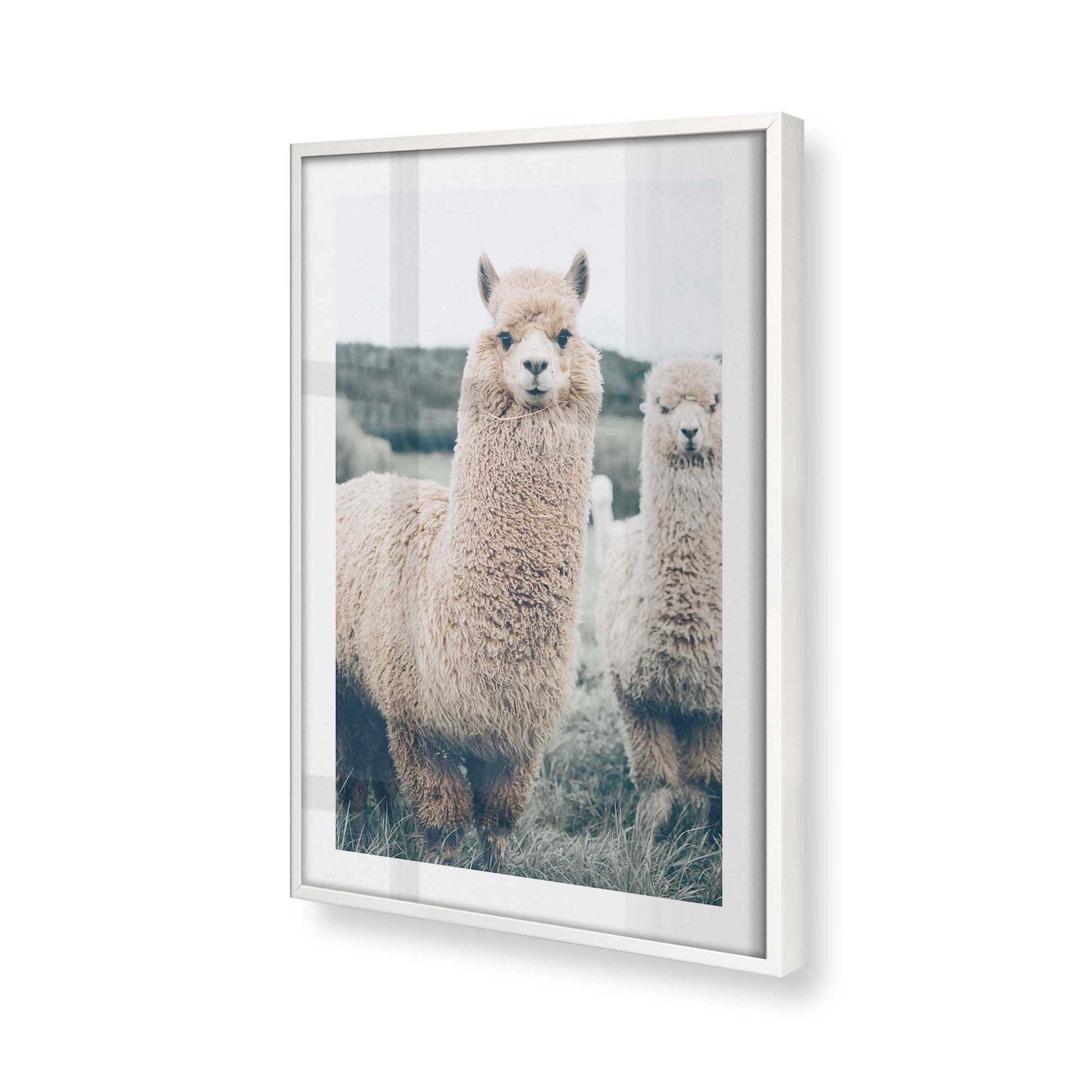 [Color:Opaque White] Picture of art in a Opaque White frame at an angle